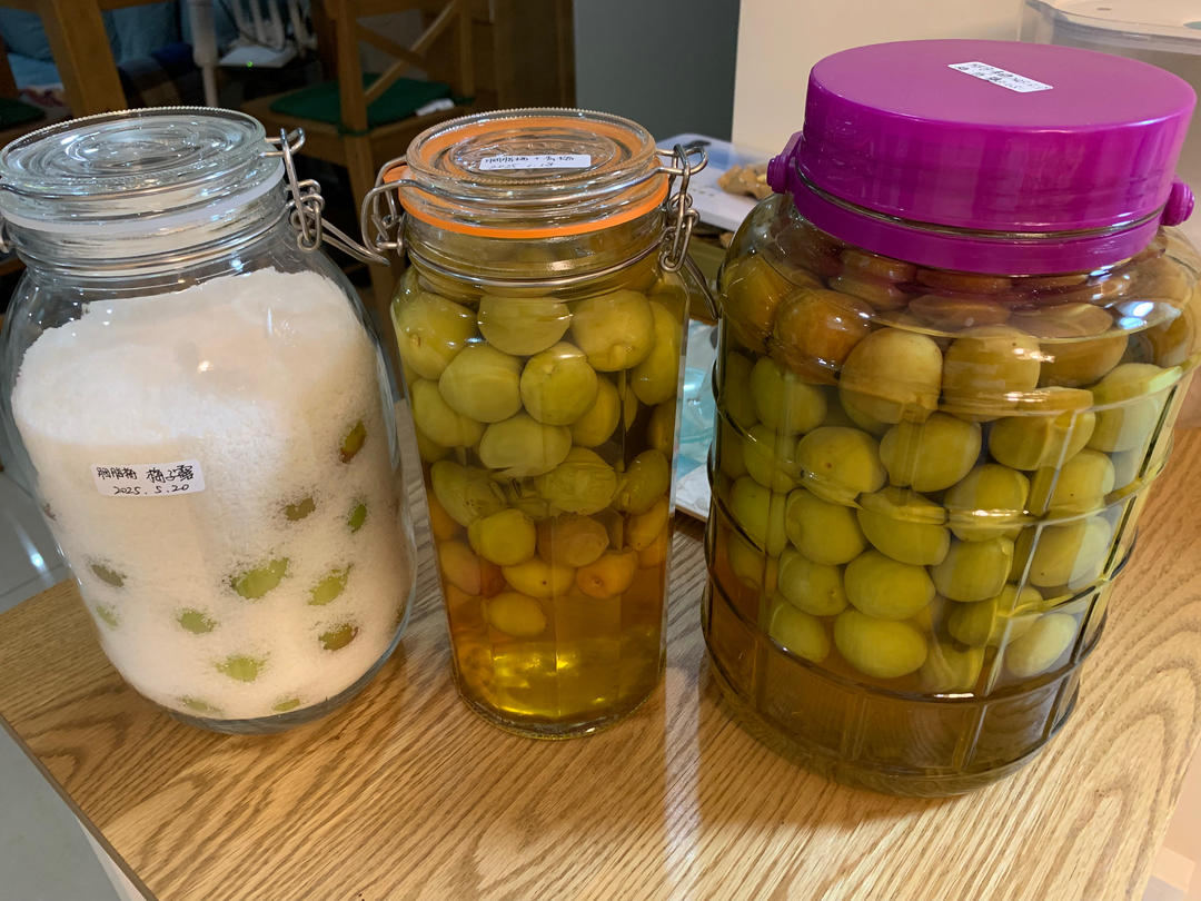 零失败【青梅酒 & 梅子露】梅子的沉淀岁月