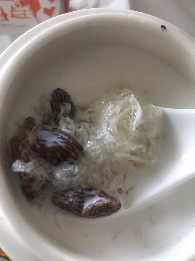 炖盅～牛奶燕窝