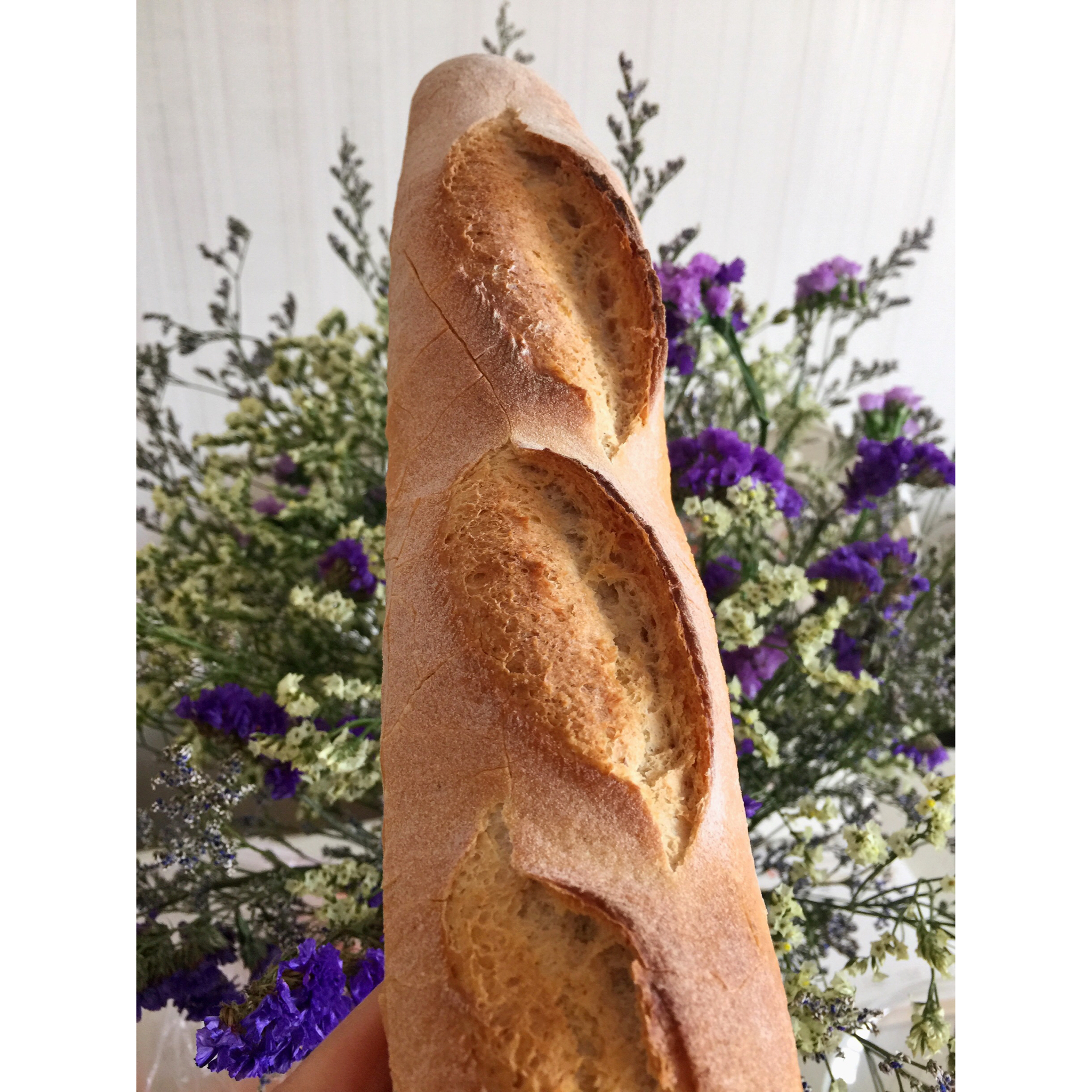 BBA-P183中种法棍