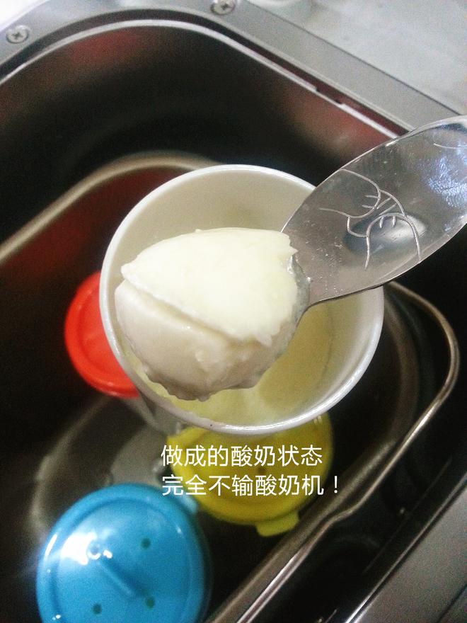 面包机版酸奶制作的做法