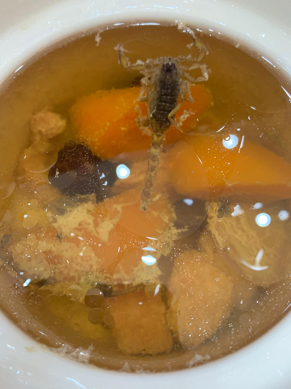 土茯苓蝎子🦂️汤