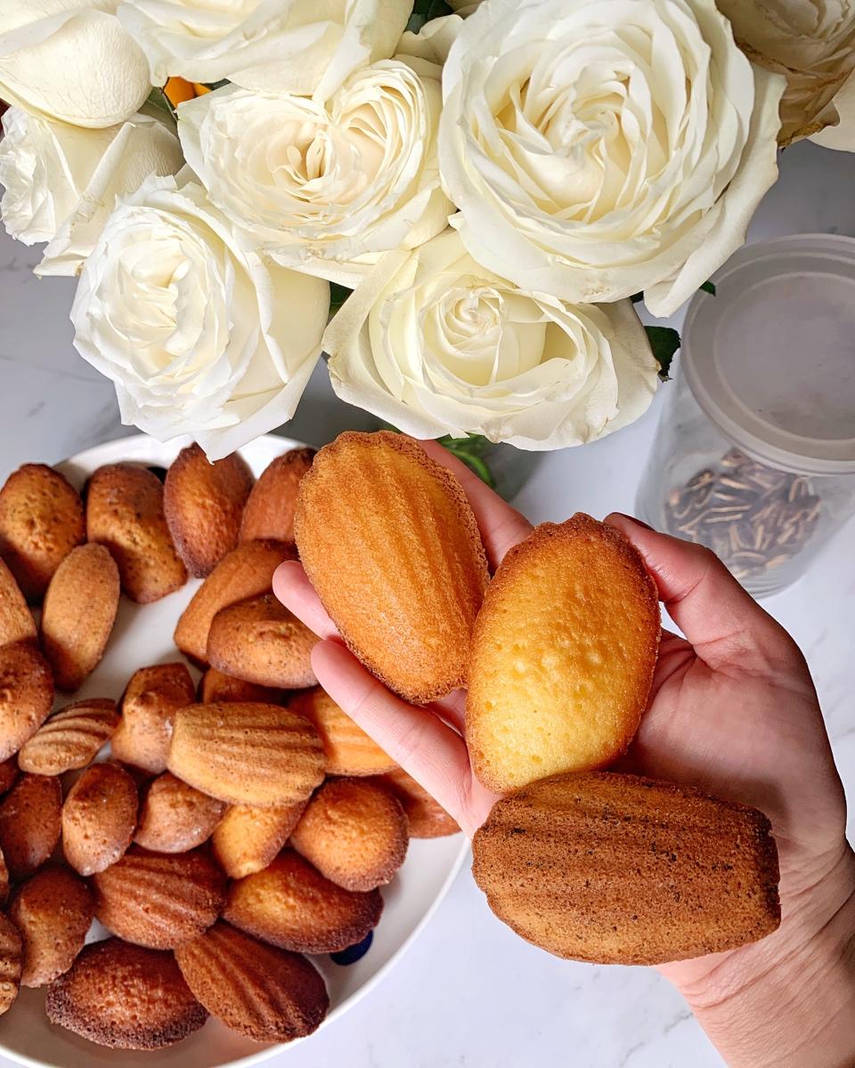 《Tinrry+》柠檬玛德琳