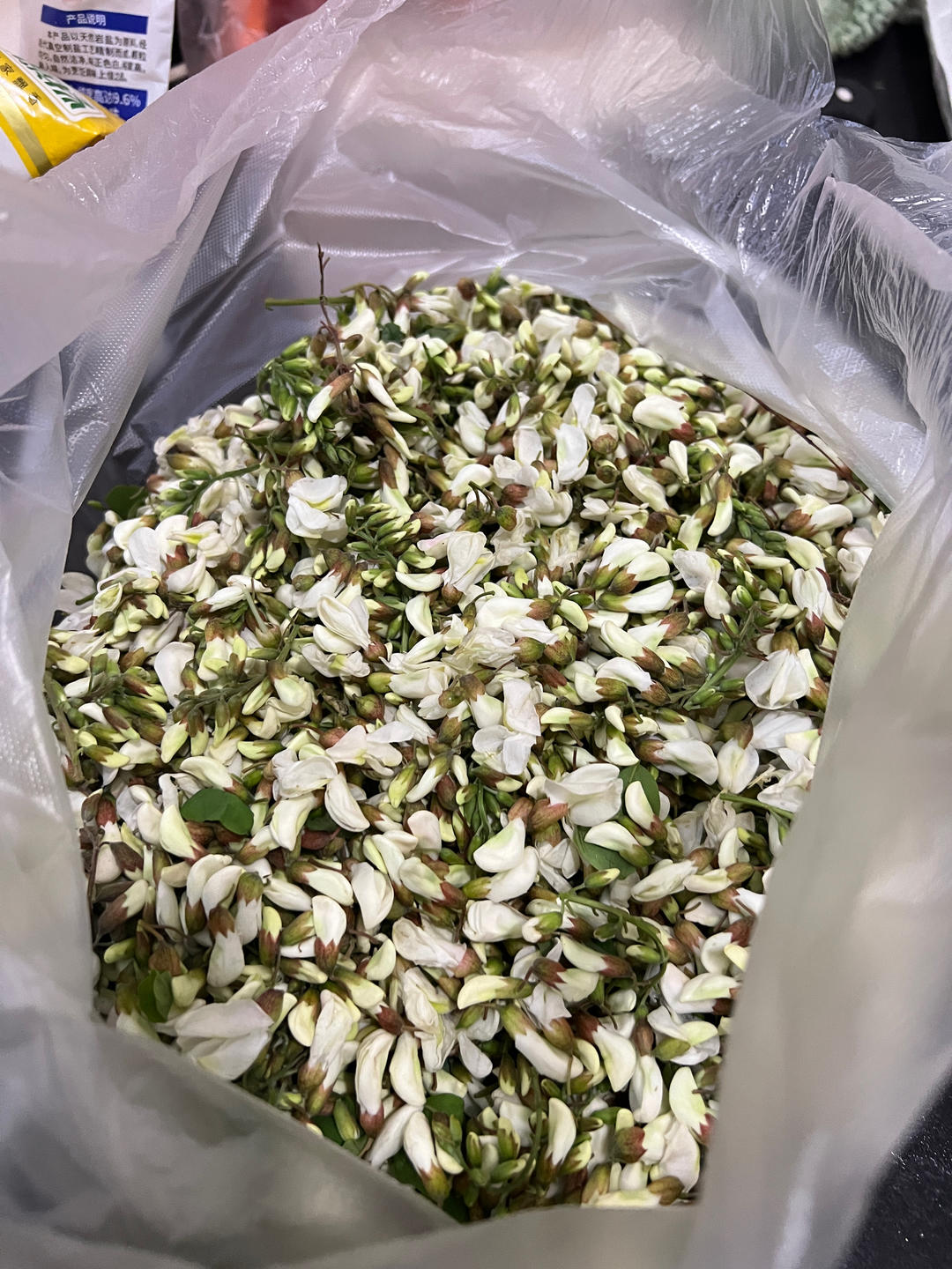 春季时令菜之蒸槐花