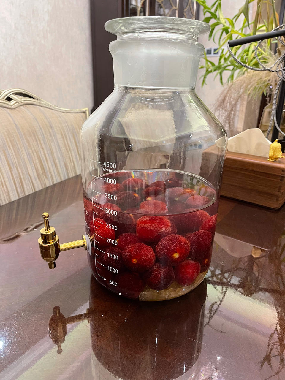 杨梅酒