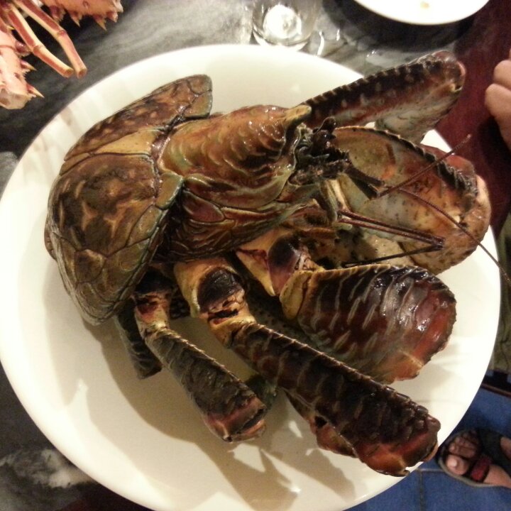旅途觅食记