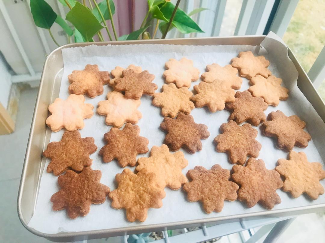 少女心粉樱花曲奇₍•͈˽•͈₎