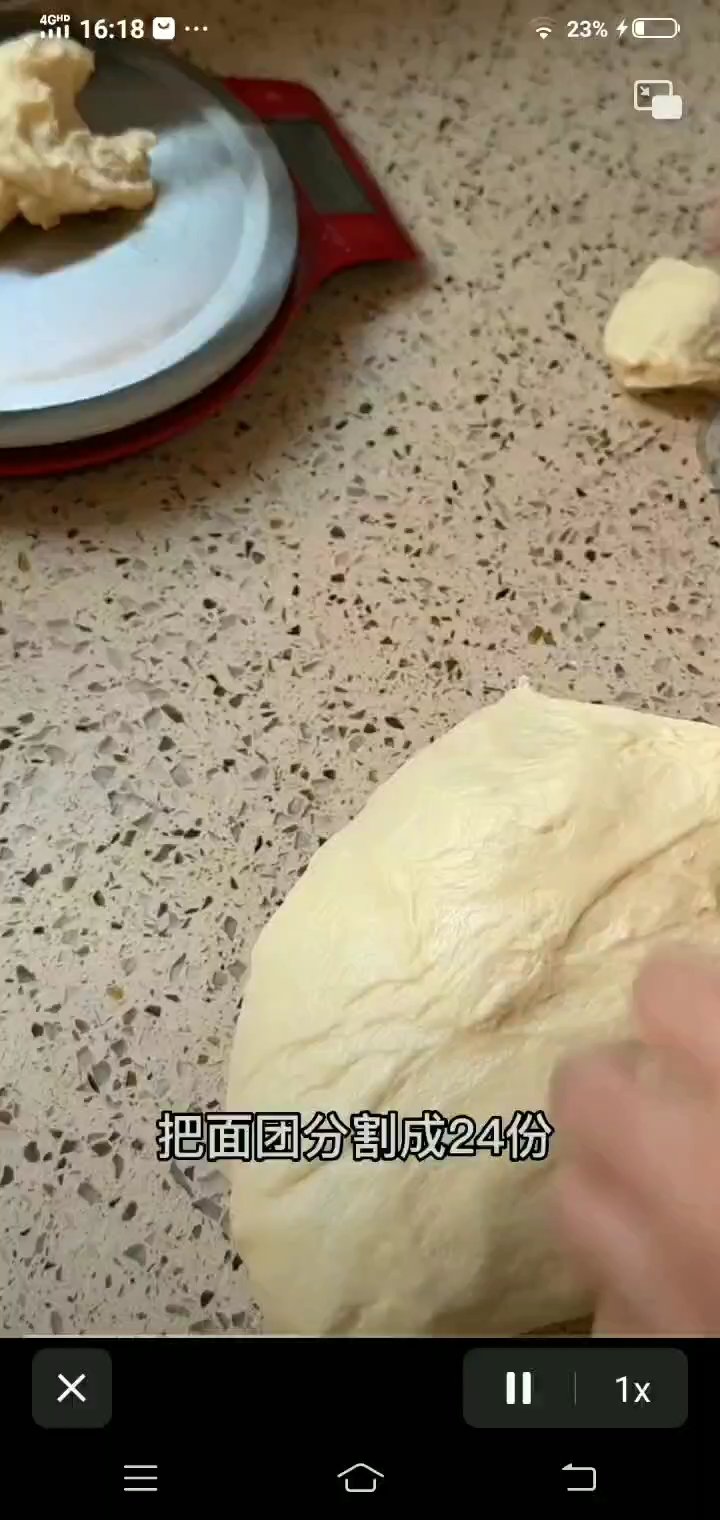 牛奶老面包手揉版（不用黄油版适合家里没有黄油的）的做法 步骤5