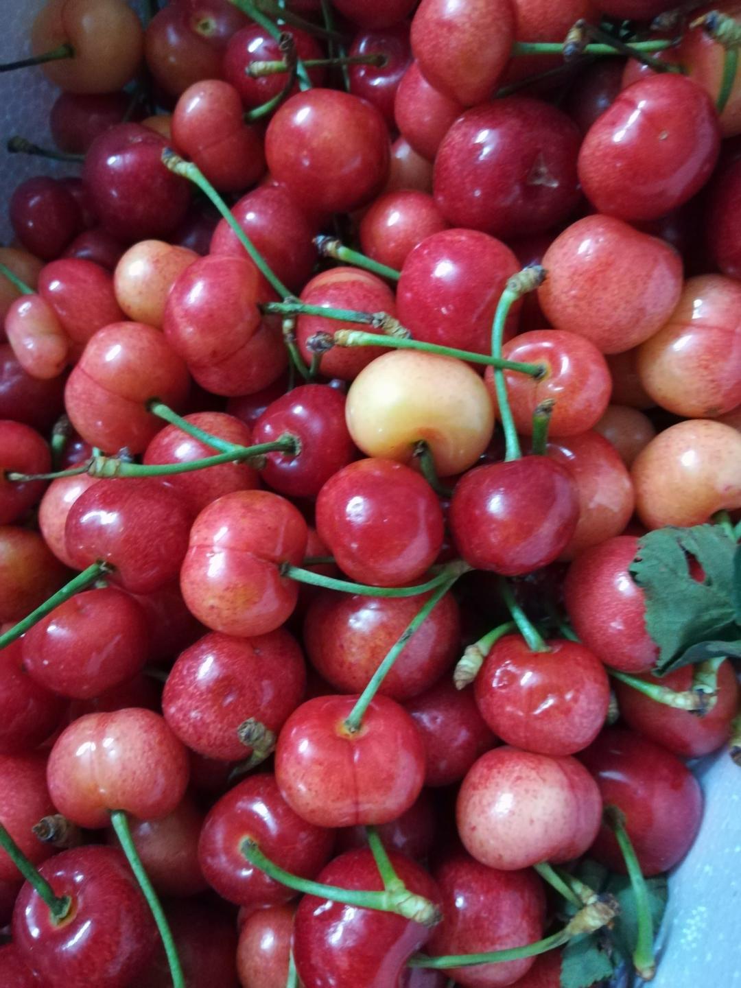 樱桃的一百种吃法