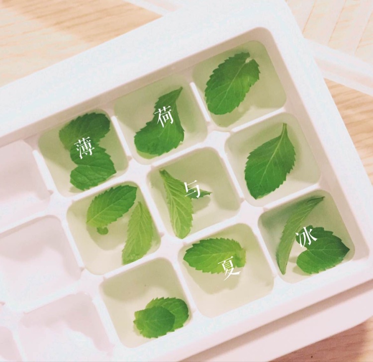 vicky_0803做的清爽薄荷冰
