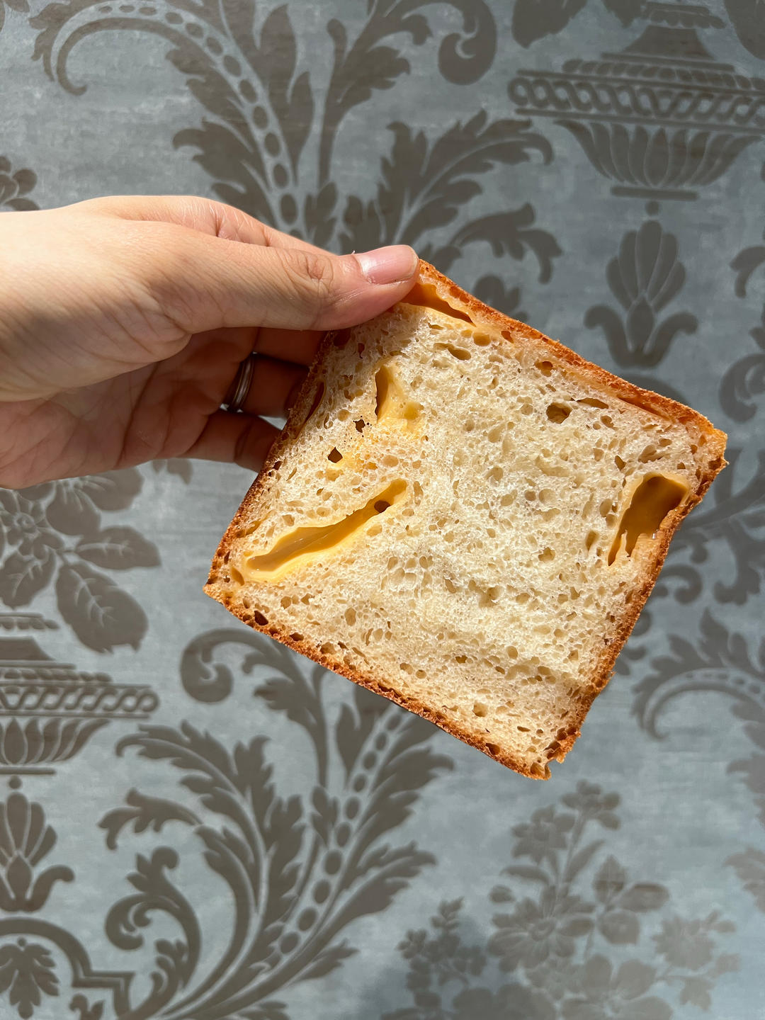 免揉超高水量牛奶吐司