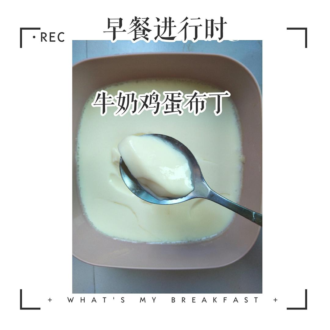 简单易学牛奶鸡蛋布丁