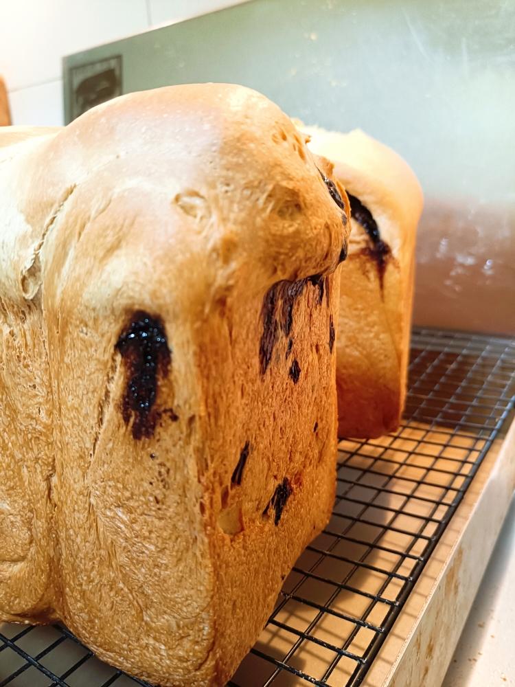 鲁邦种首次喂养成功记录