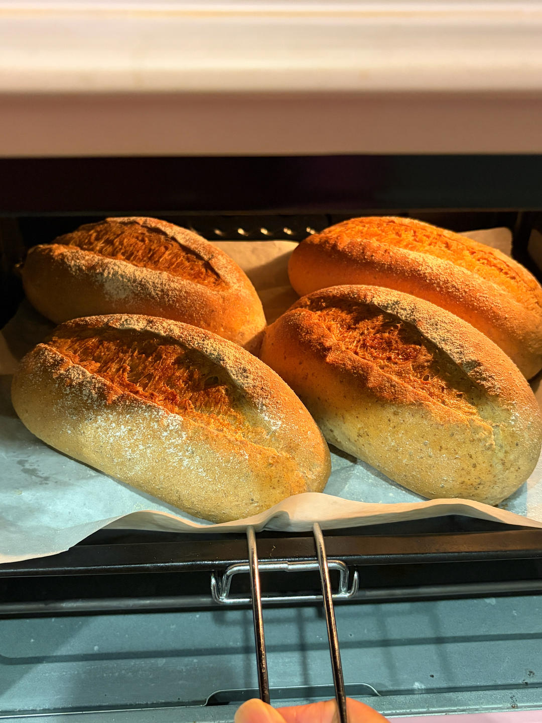 纤身奇亚籽全麦欧包