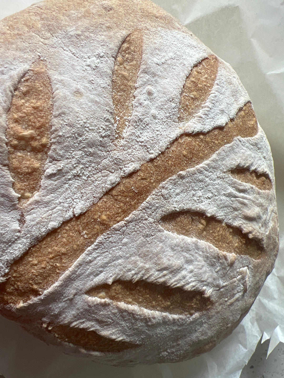 空气炸锅烤无糖无油欧包