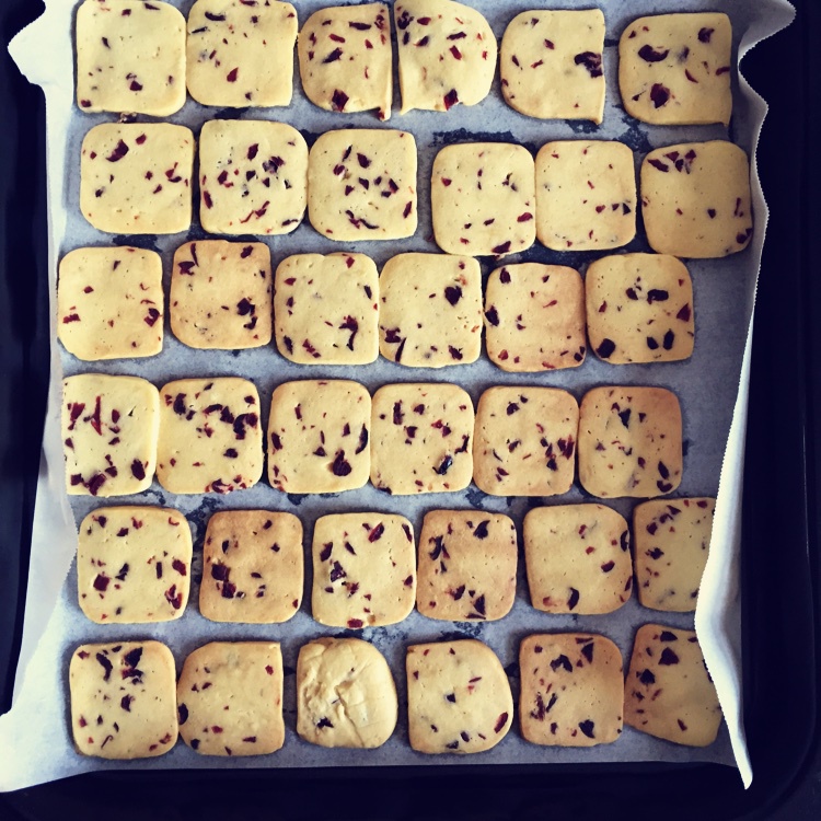 草梅棉花糖_w9fj做的蔓越莓饼干 烤了好多次,自我觉得这次最好吃了,无