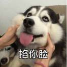 凤凰院凶真-_-