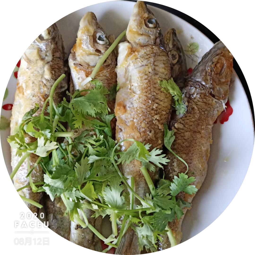 干煎小鱼🐠系列4的做法