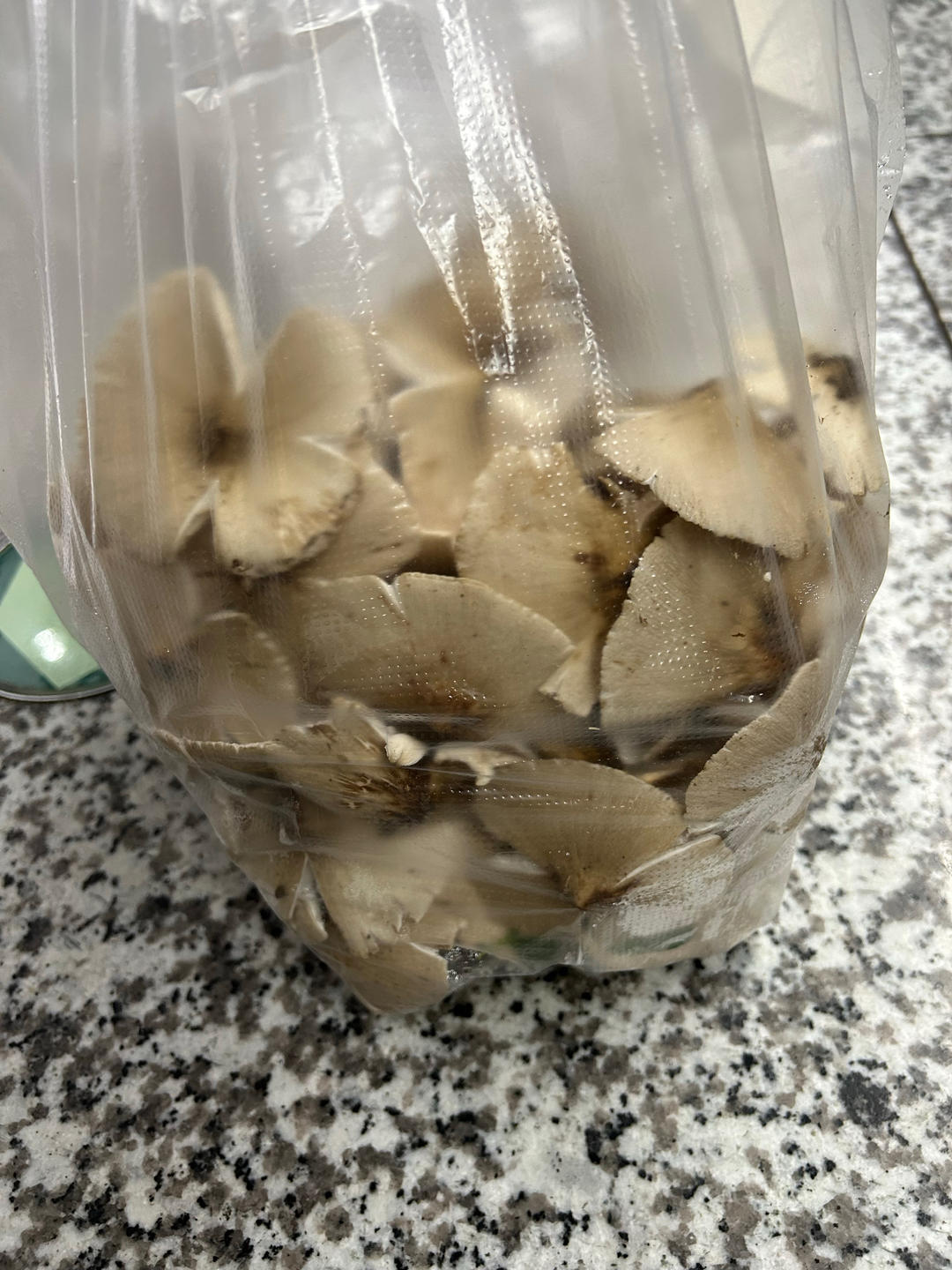 炸鸡枞菌