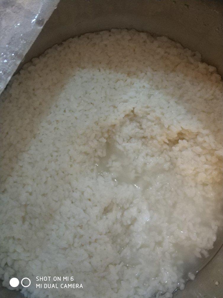 酒酿 (酒酿系列一）