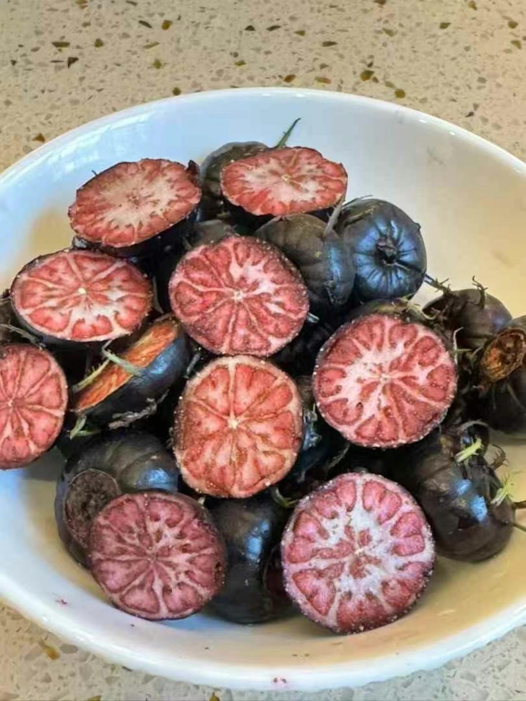 H红豆
