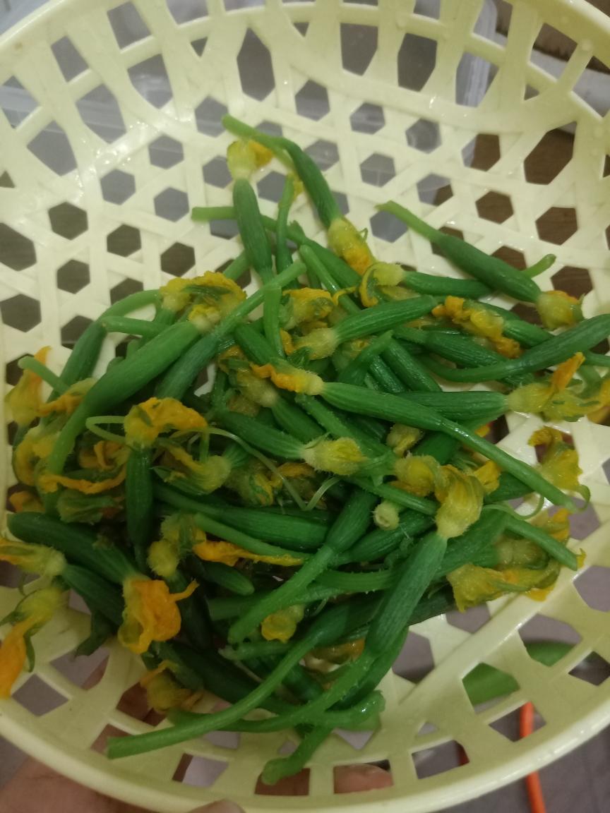 凉拌青瓜花的做法步骤图 凉拌青瓜花怎么做好吃 金quora 下厨房