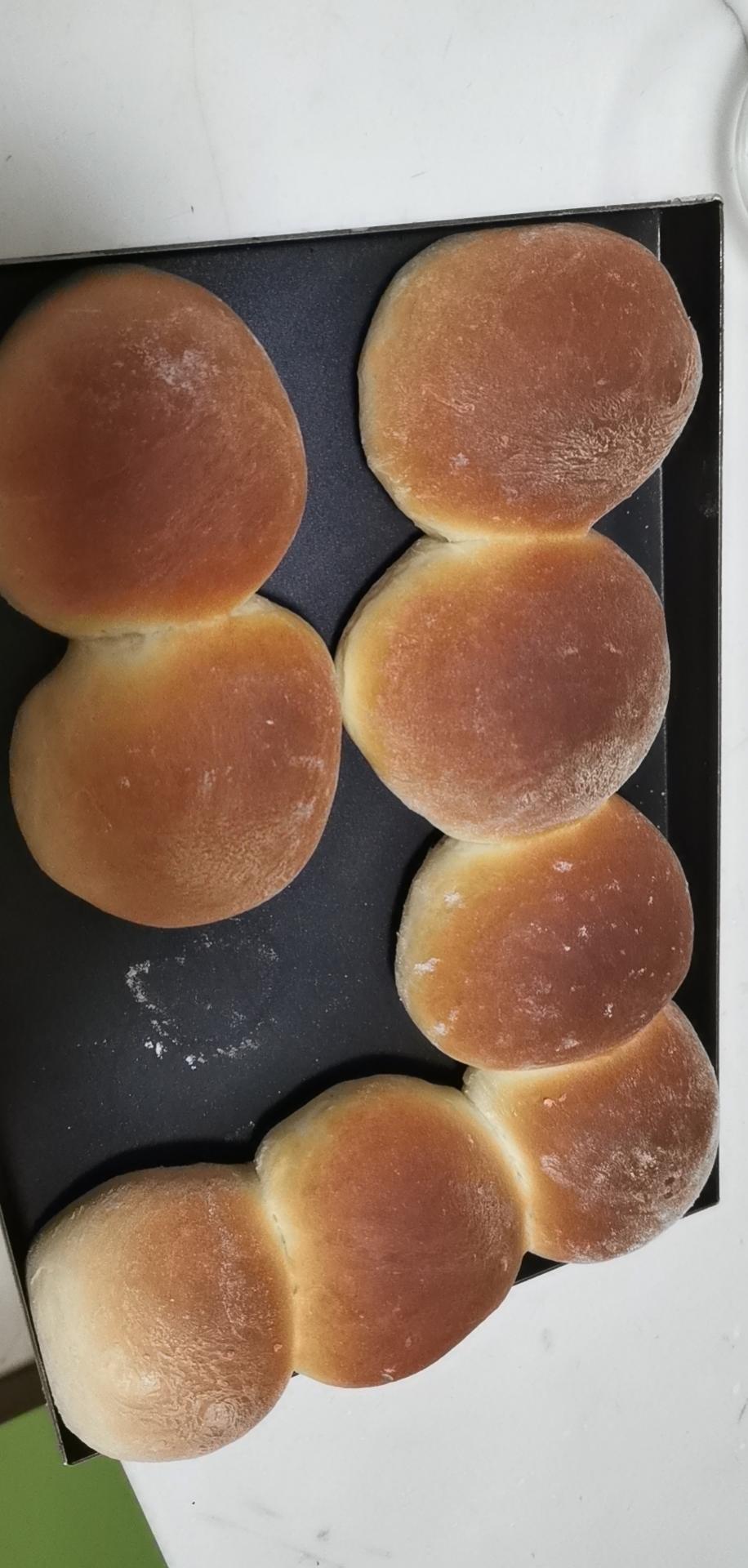 面包｜新手入门：牛奶小餐包