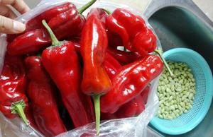 超下饭又简单的炒红辣椒的做法 步骤2
