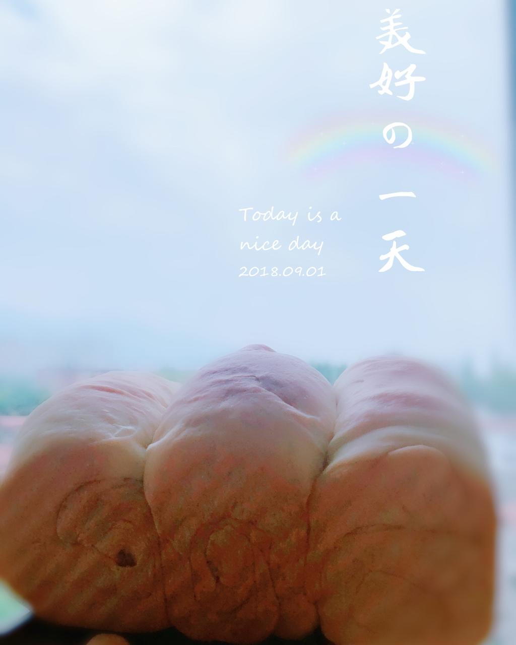 夺命软吐司(๑´ڡ`๑)超软拉丝极速方便的一次发酵吐司