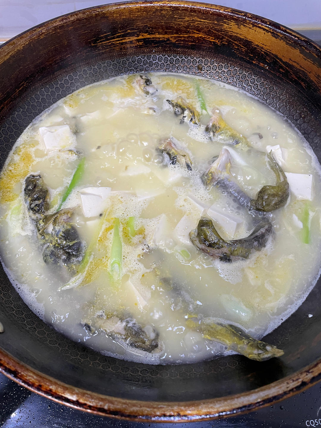 昂刺鱼豆腐汤（黄辣丁）