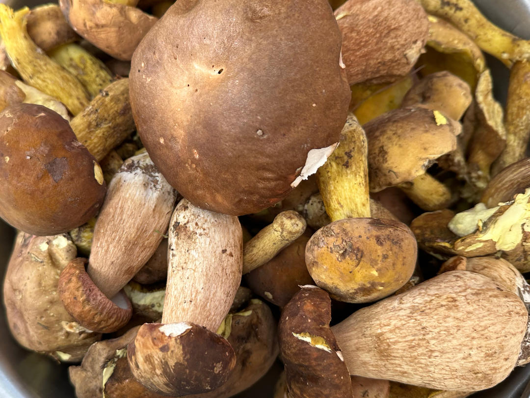 新鲜上市的野菜