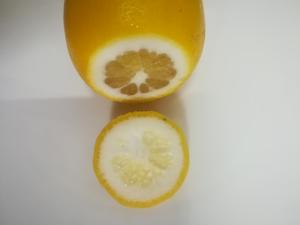 冰糖炖柠檬的做法 步骤2