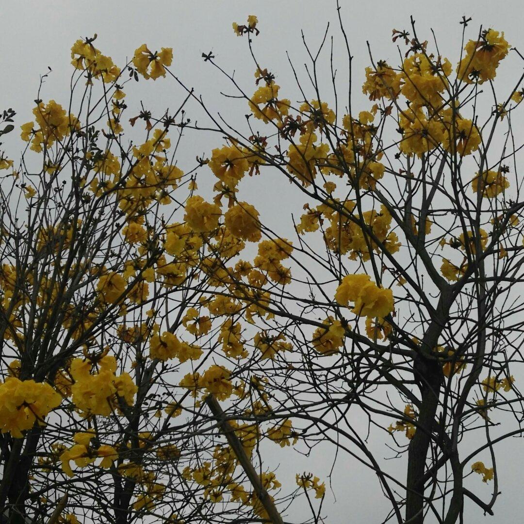 手机用户0033_ohgm