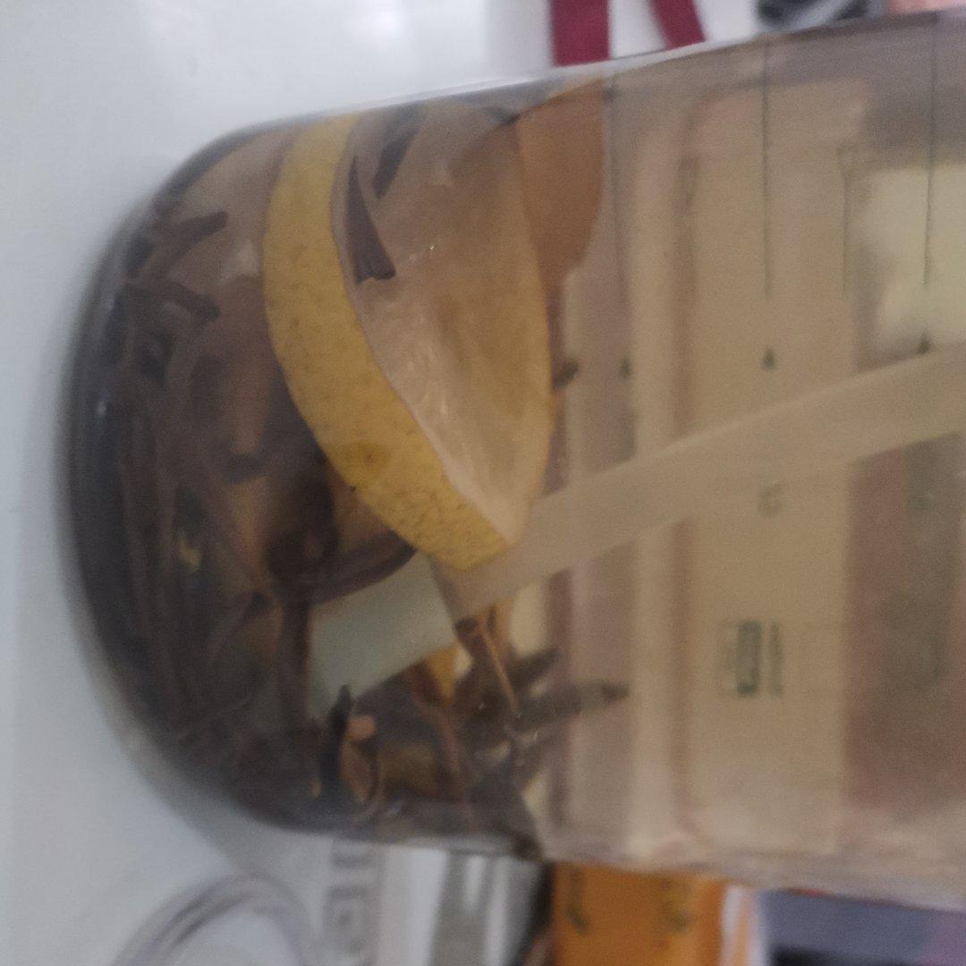 夏日超简单冷饮红茶柠檬水美白燃脂兼得/可无糖/多喝水