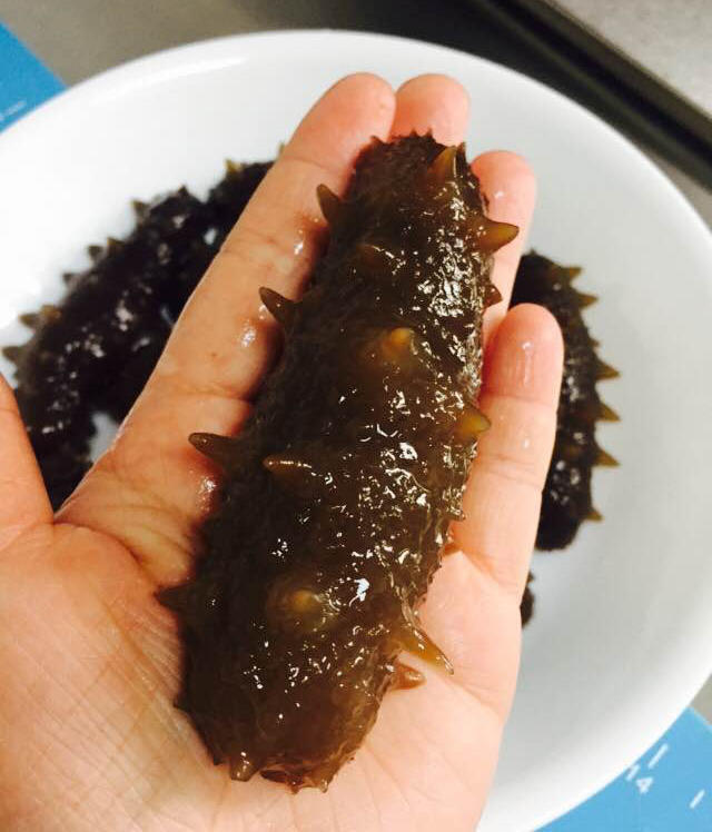 海参泡发攻略