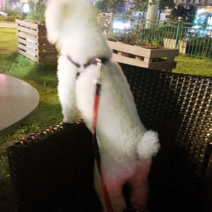 翁 婉瑶