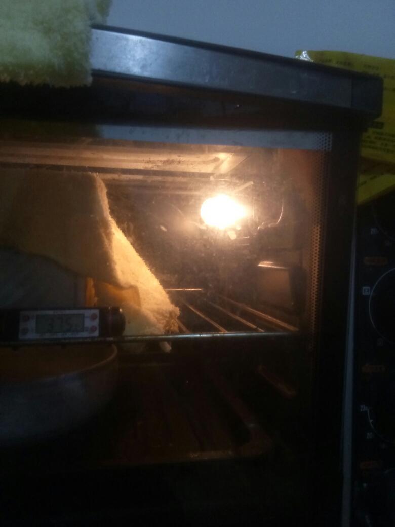 怎样使用温度高的烤箱发酵功能