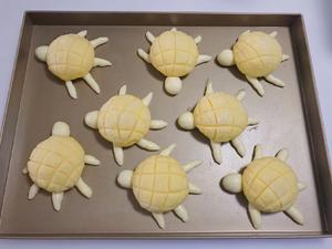 超级可爱的小乌龟菠萝包的做法 步骤12