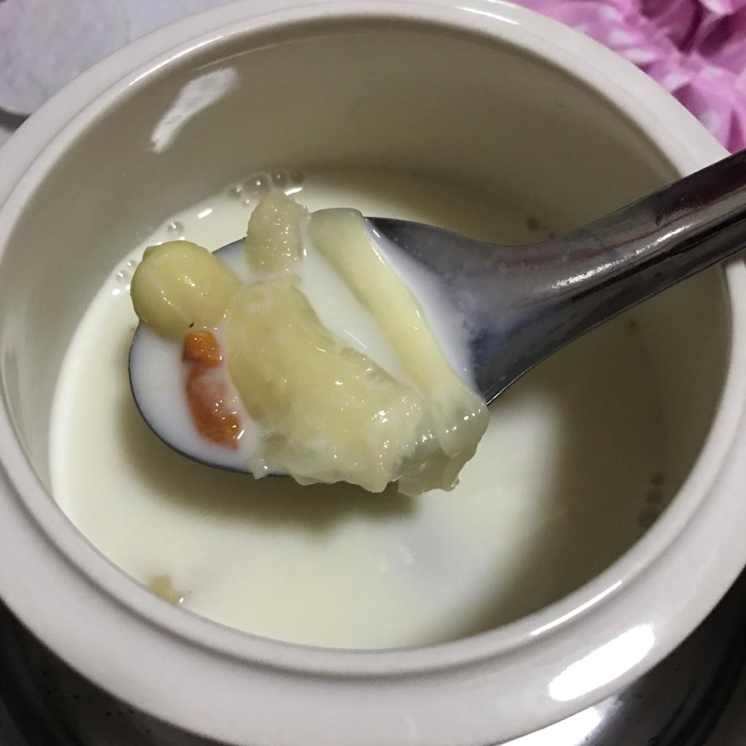 花胶炖牛奶
