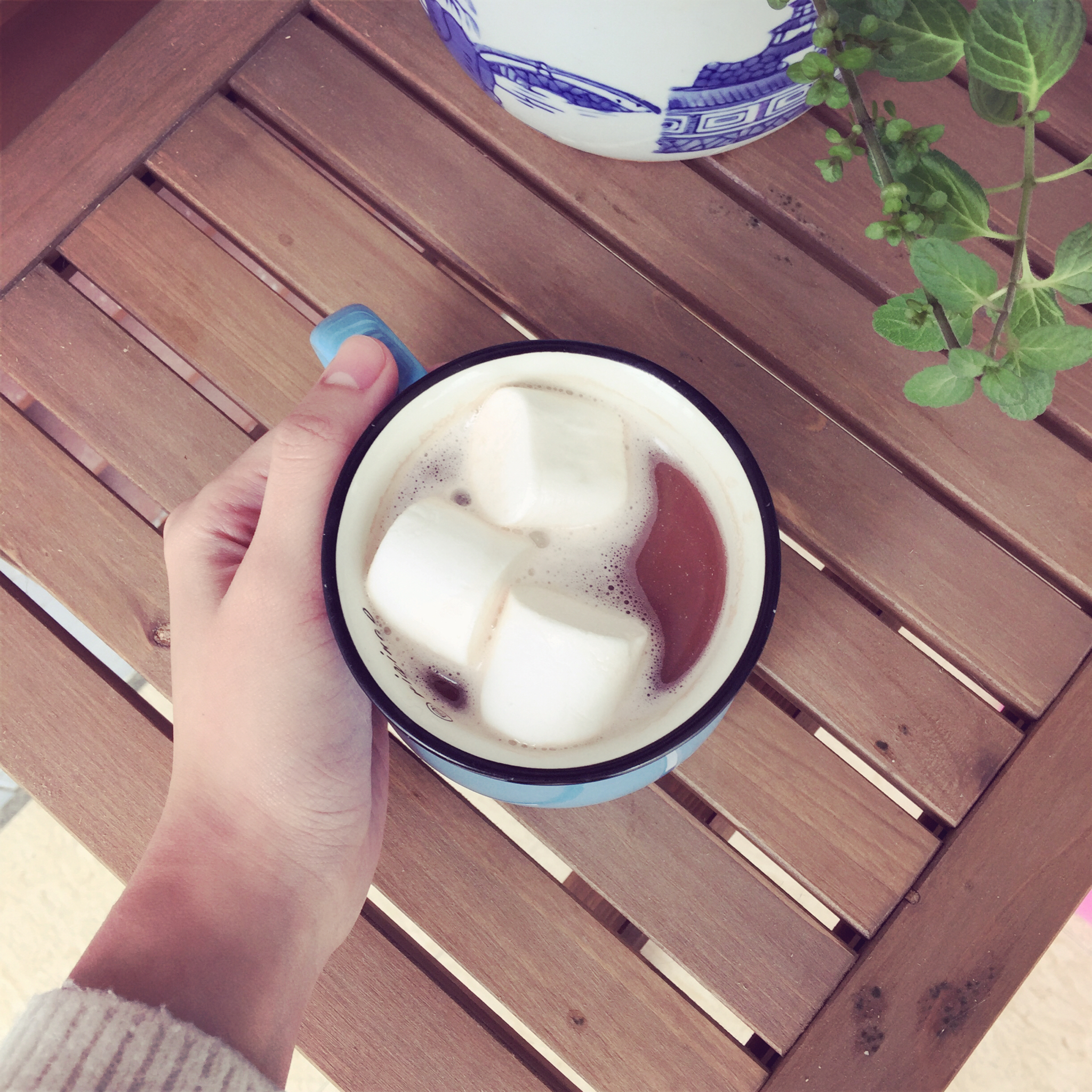 棉花糖热可可