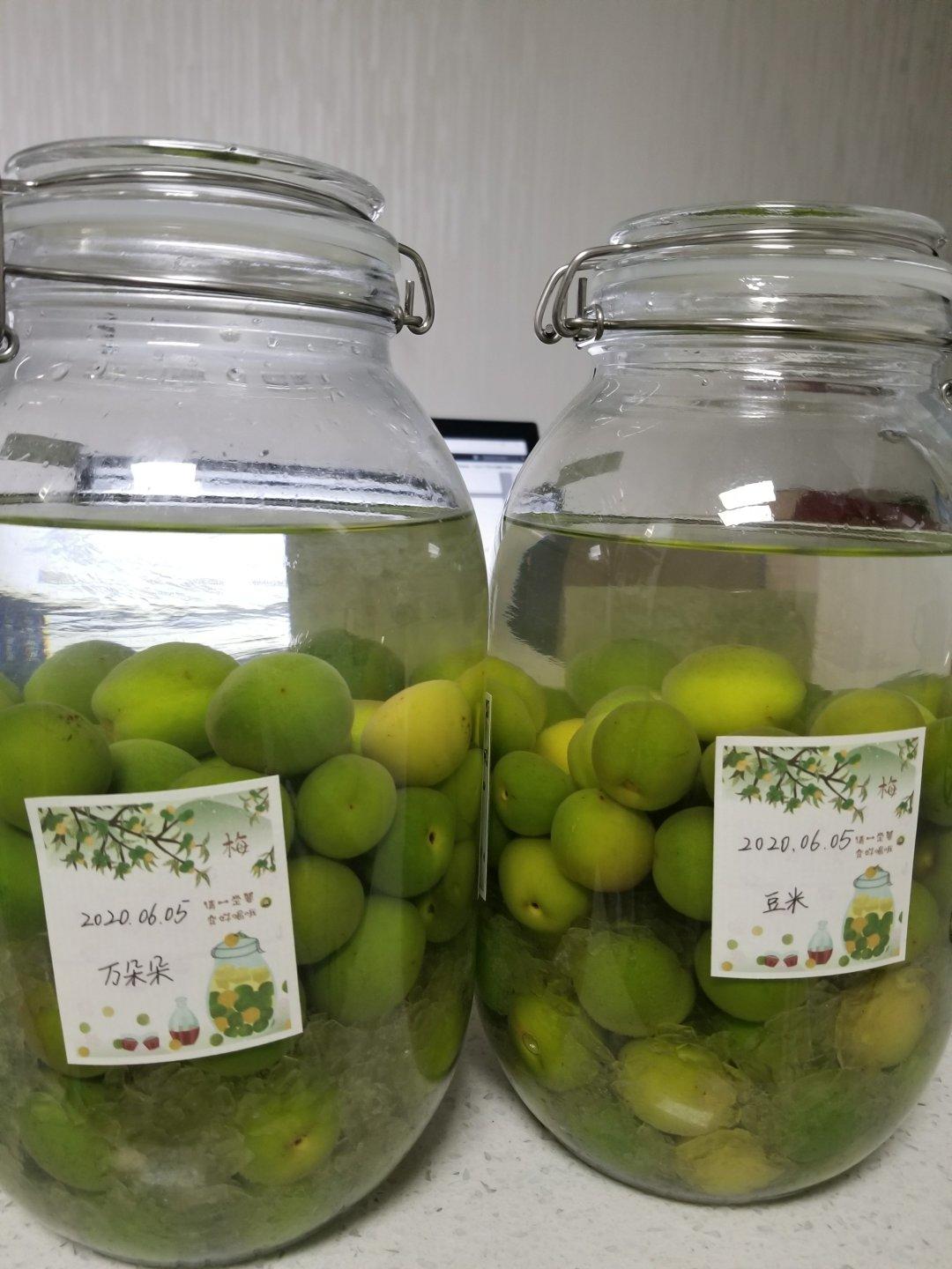 青梅酒（优的春日私酿第二話）