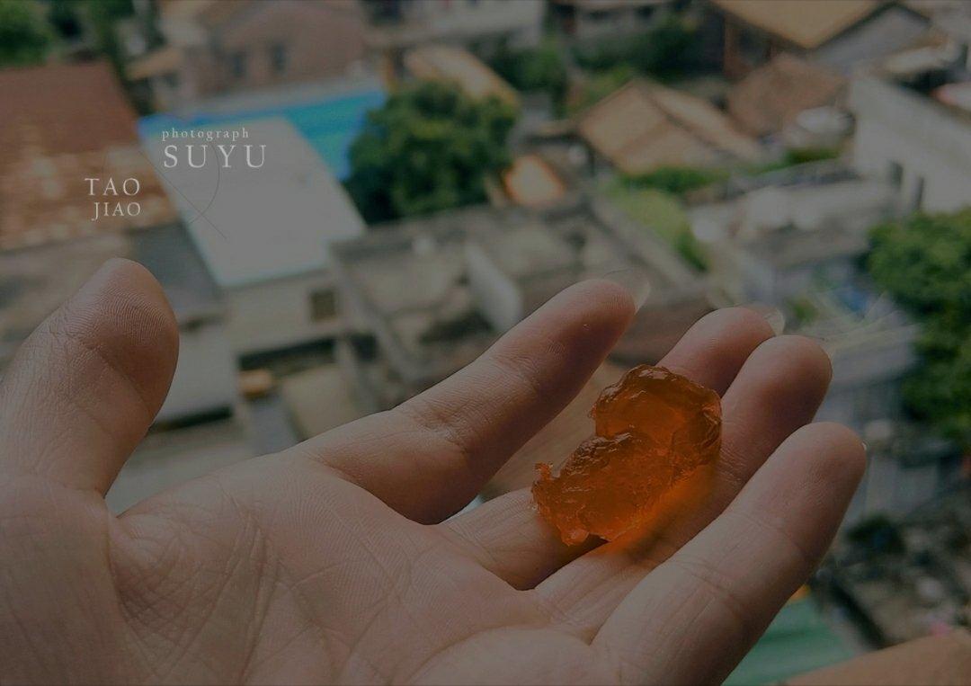 南橘的日常小确幸