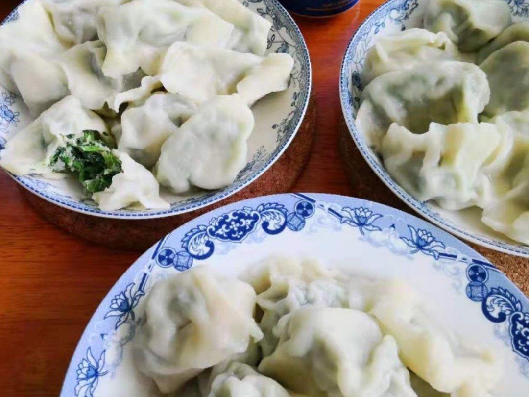 〈小白菜饺子馅〉，很鲜。欣小厨 😉