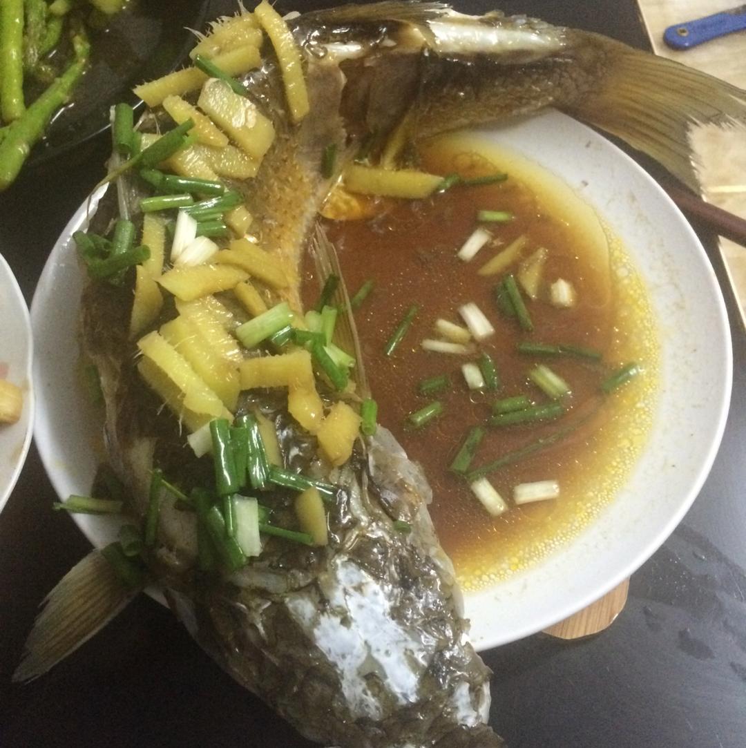清蒸鲻鱼