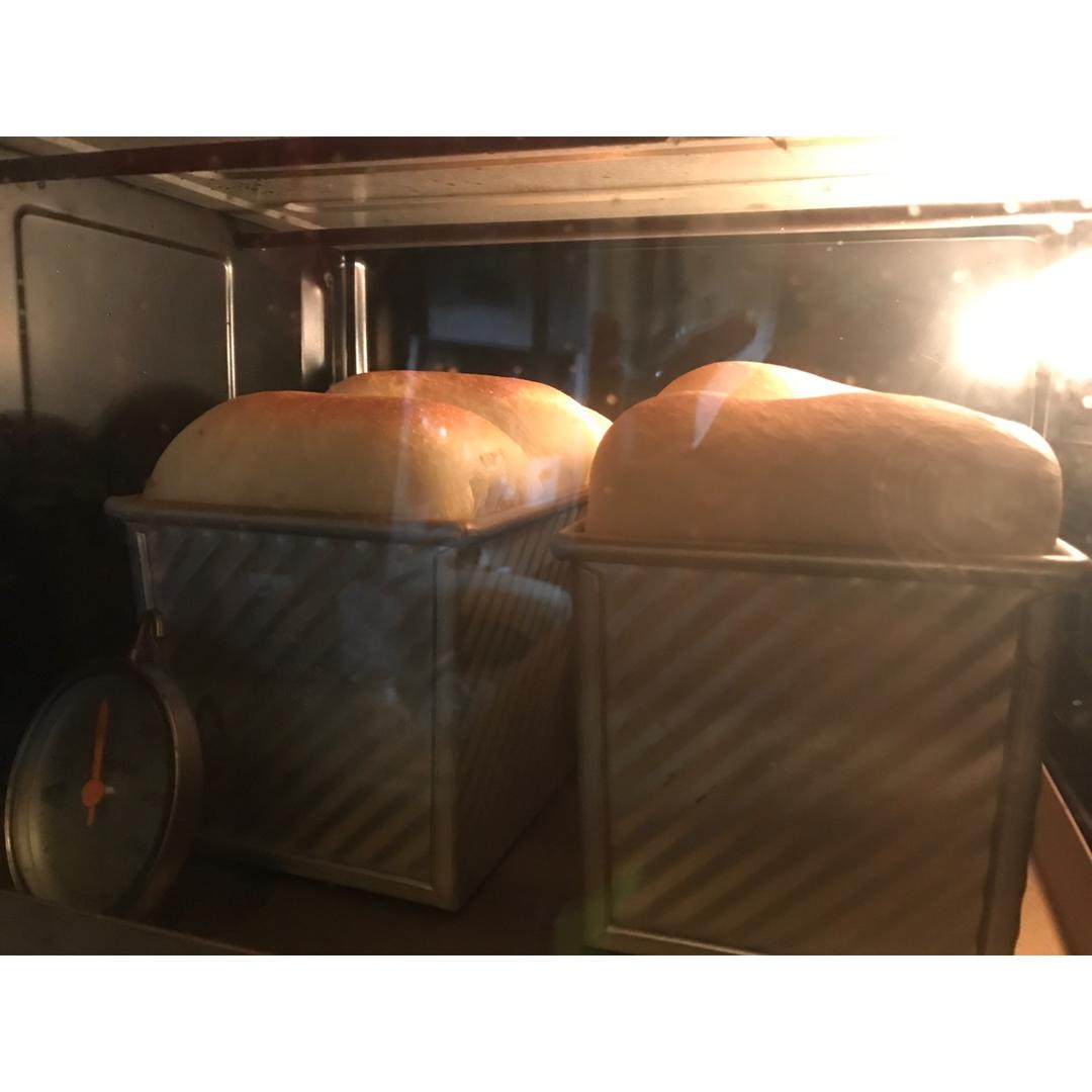 汤种酸奶奶酪吐司