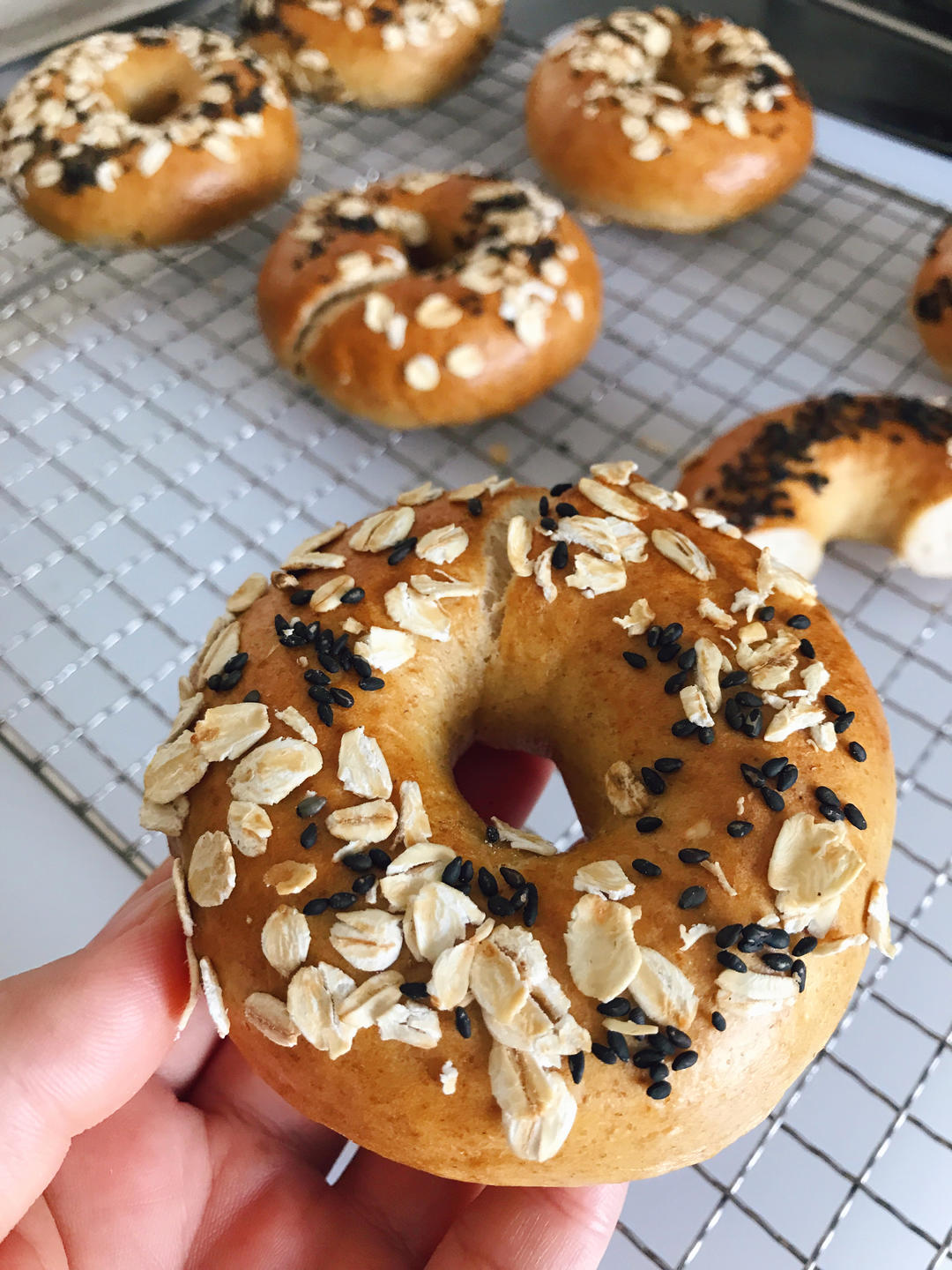 低糖无油燕麦贝果