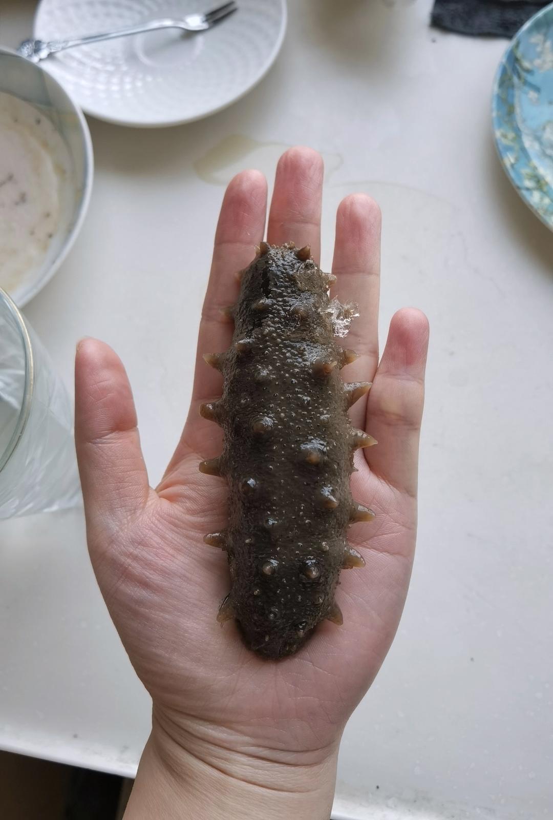 如何泡发淡干海参