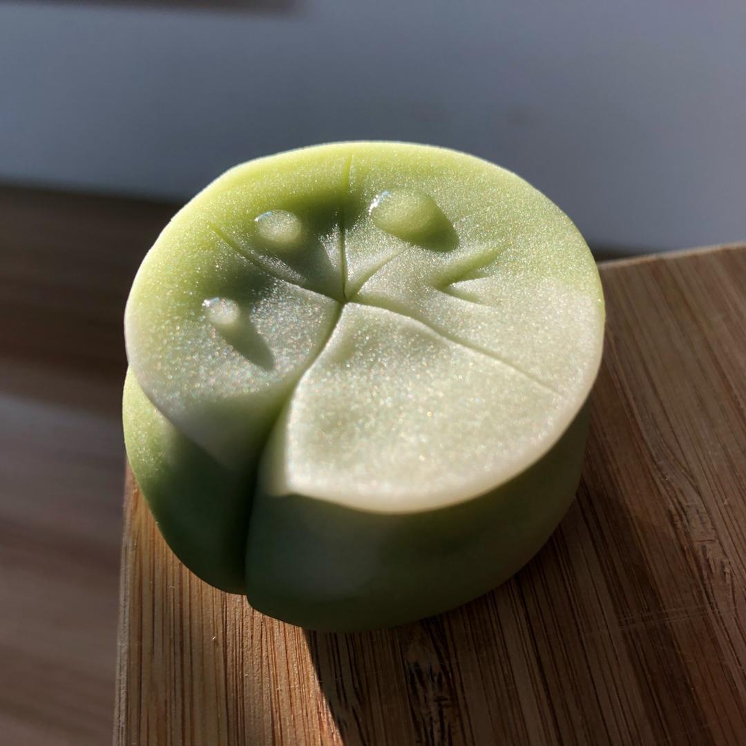 和菓（果）子练习册