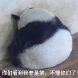 微尘随心
