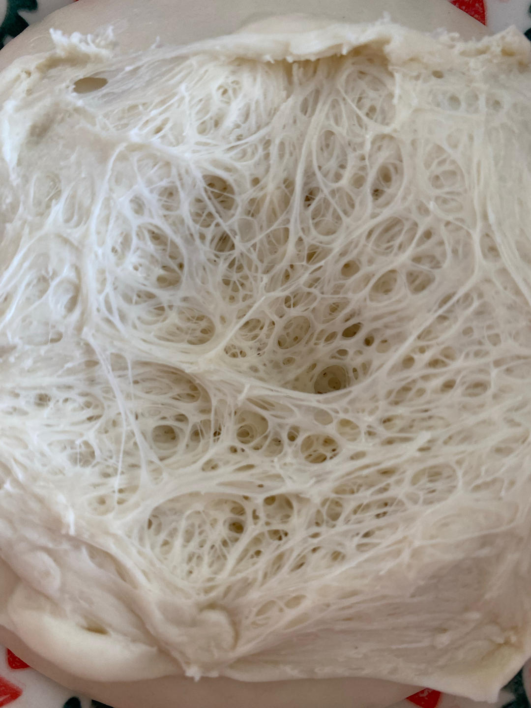 鲁邦种法国老面