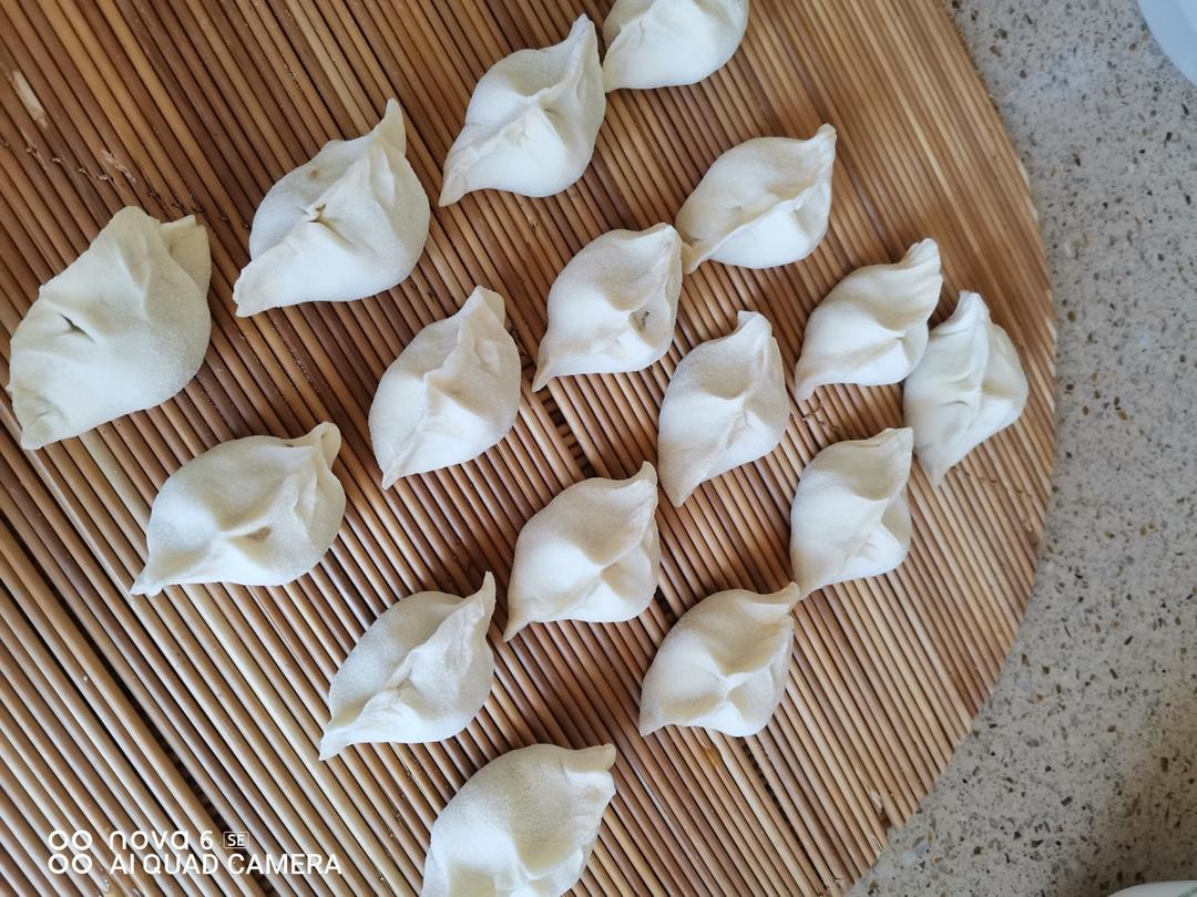 茄子馅饺子（饺子馅会流汁哦）